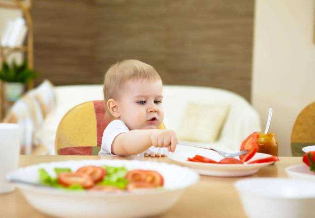 培养宝宝良好的饮食习惯