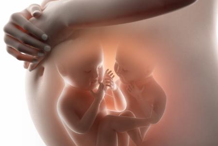 影响胎宝宝大小的因素